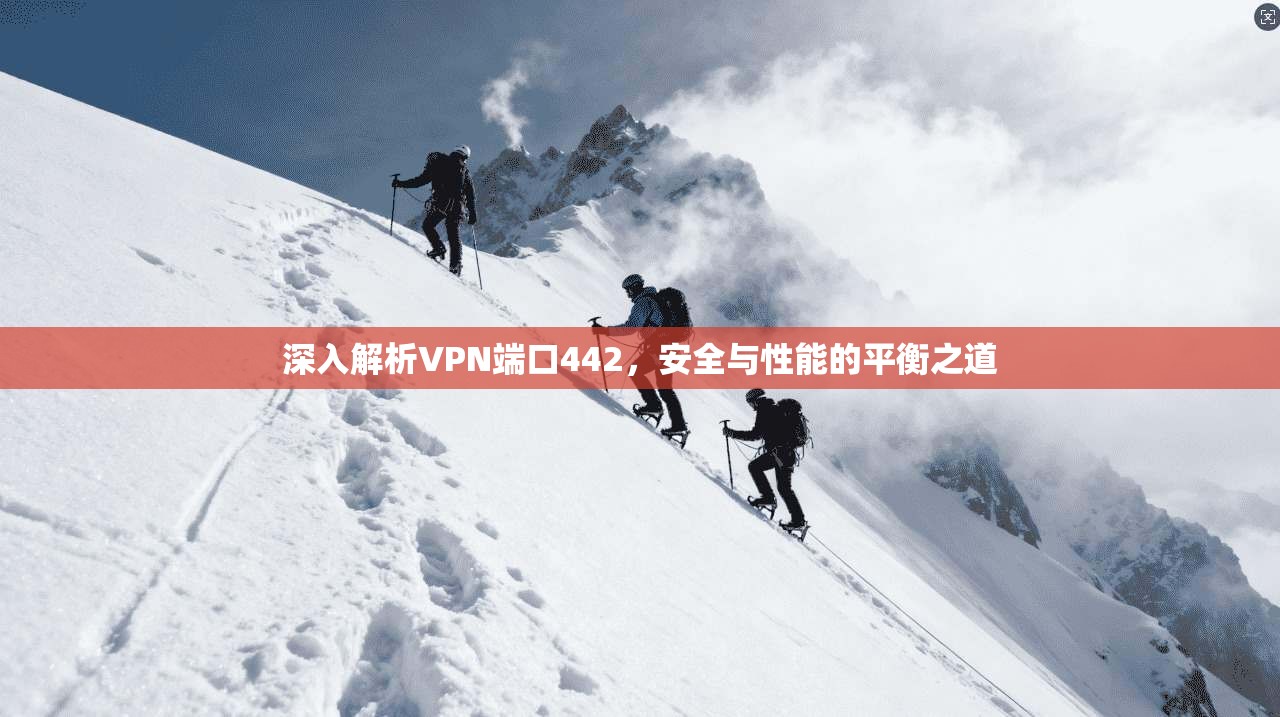 深入解析VPN端口442，安全与性能的平衡之道