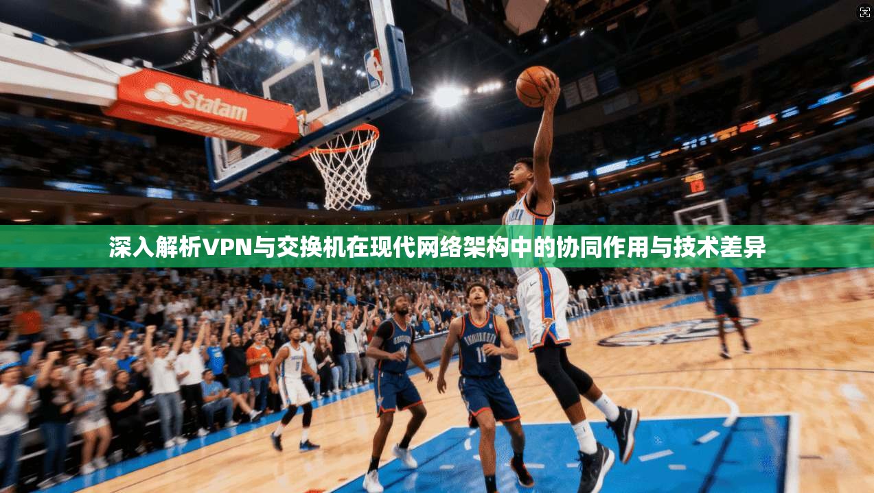 深入解析VPN与交换机在现代网络架构中的协同作用与技术差异