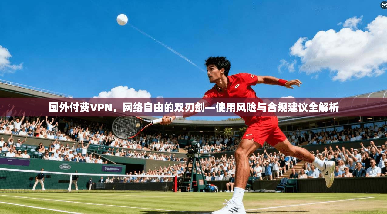 国外付费VPN，网络自由的双刃剑—使用风险与合规建议全解析