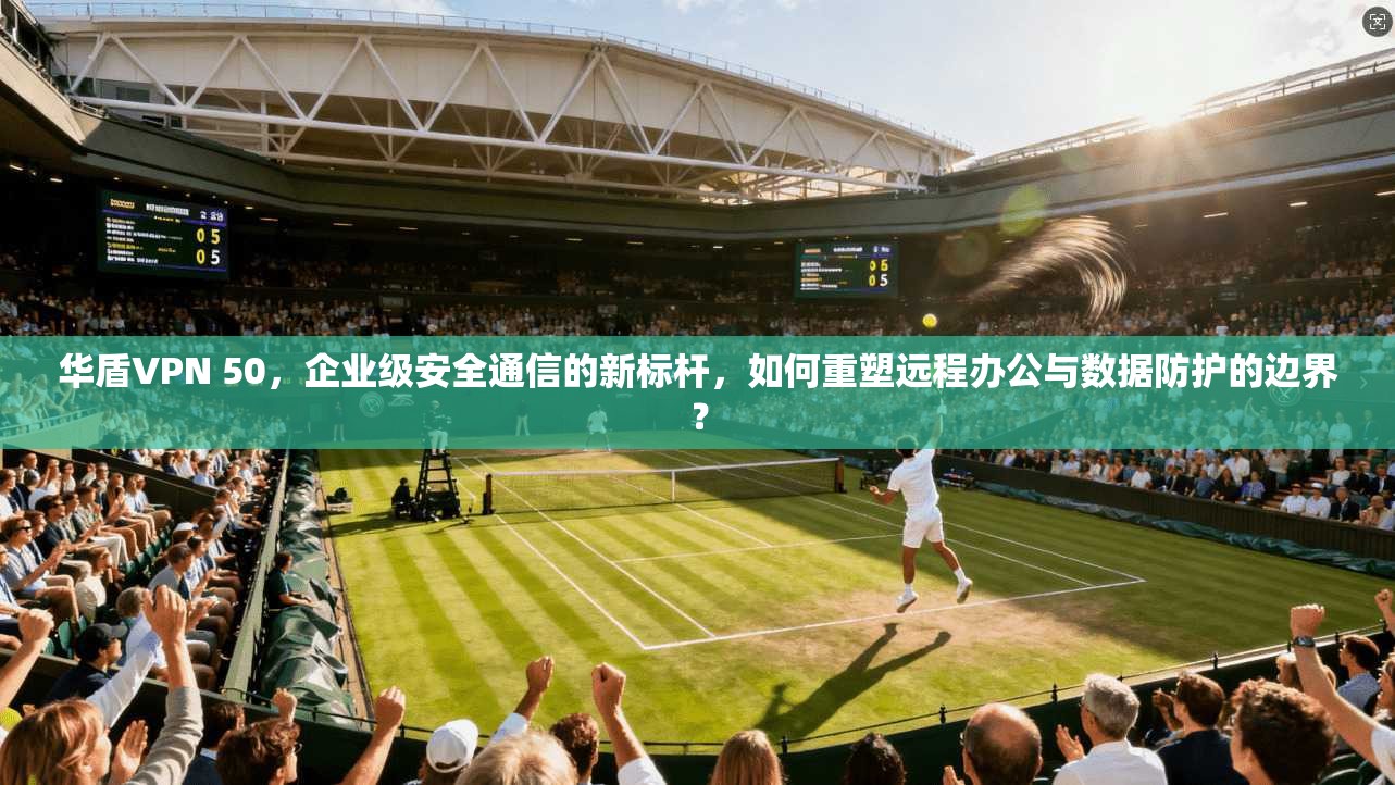 华盾VPN 50，企业级安全通信的新标杆，如何重塑远程办公与数据防护的边界？