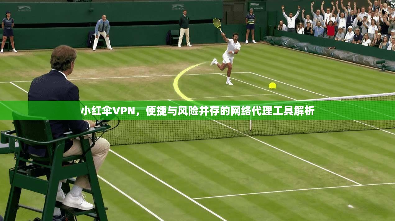 小红伞VPN,便捷与风险并存的网络代理工具解析