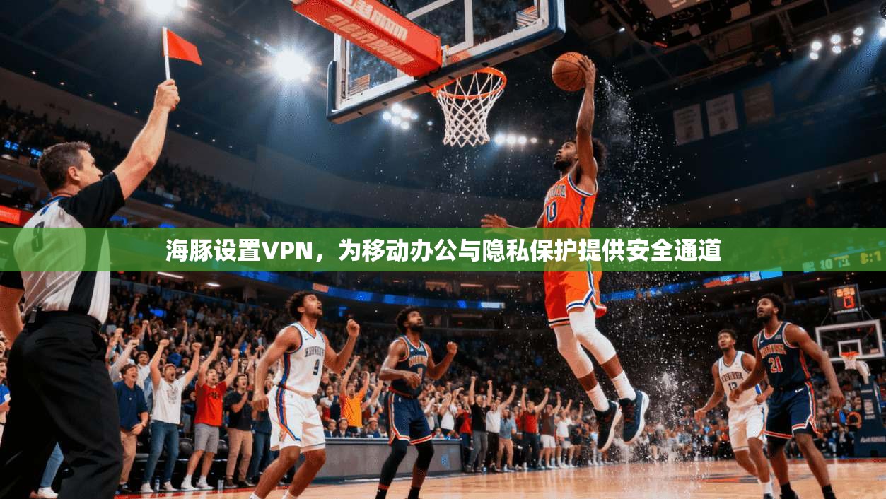 海豚设置VPN,为移动办公与隐私保护提供安全通道 海豚设置VPN,为移动办公与隐私保护提供安全通道