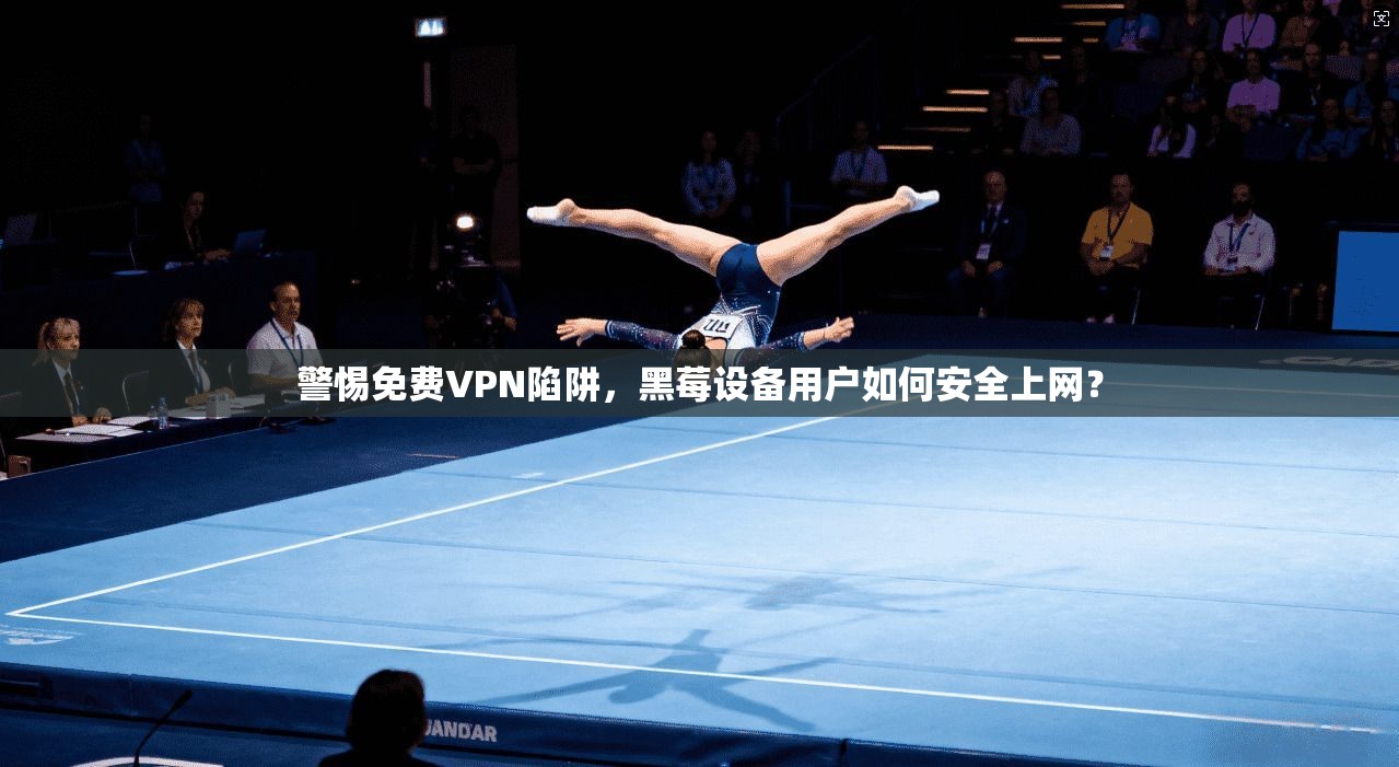 警惕免费VPN陷阱，黑莓设备用户如何安全上网？