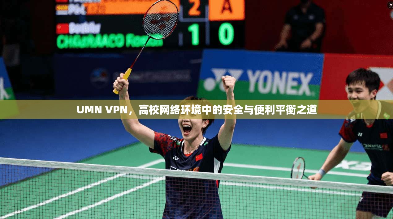 UMN VPN，高校网络环境中的安全与便利平衡之道