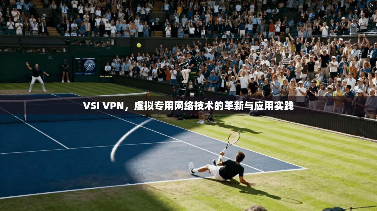 VSI VPN，虚拟专用网络技术的革新与应用实践