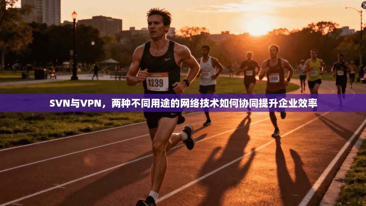 SVN与VPN，两种不同用途的网络技术如何协同提升企业效率