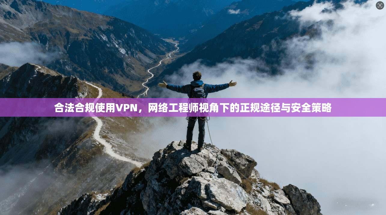 合法合规使用VPN，网络工程师视角下的正规途径与安全策略