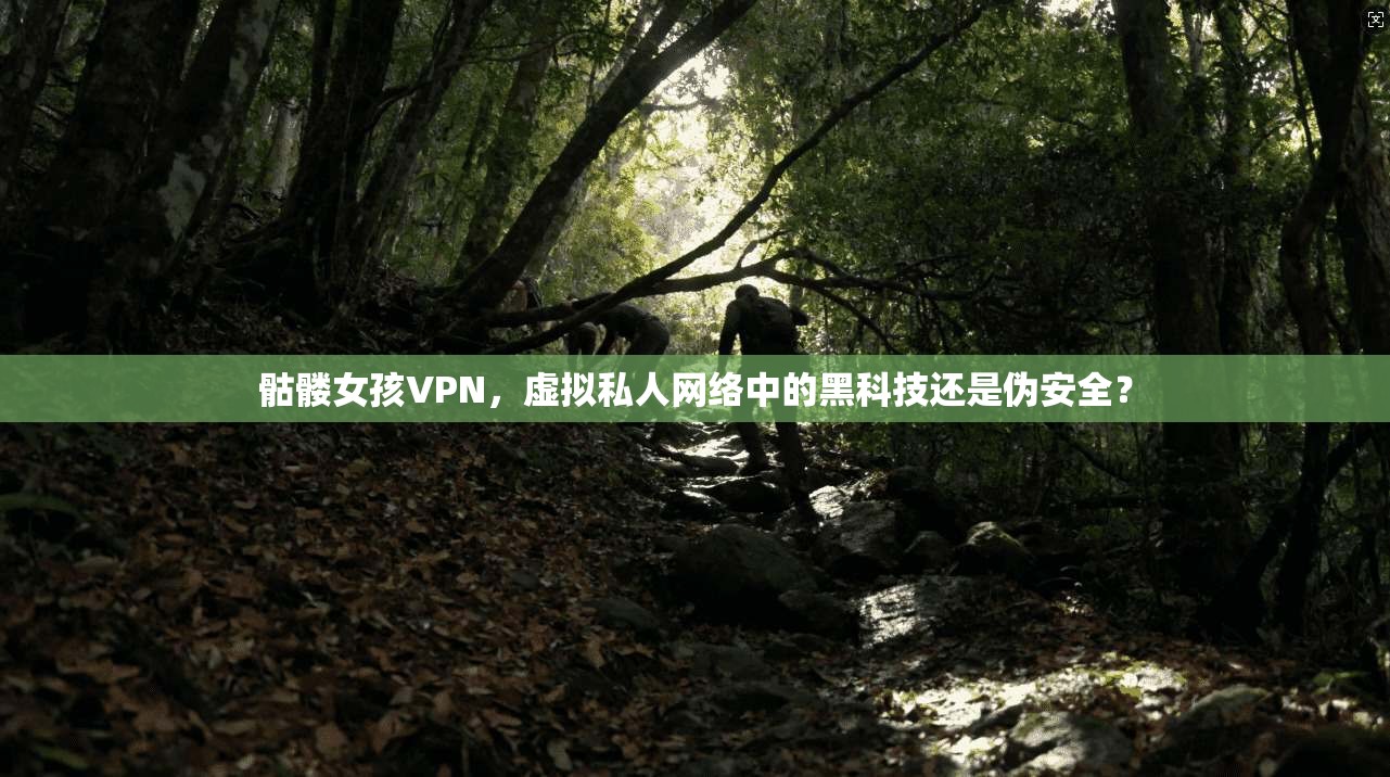 骷髅女孩VPN，虚拟私人网络中的黑科技还是伪安全？