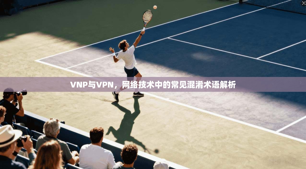 VNP与VPN，网络技术中的常见混淆术语解析