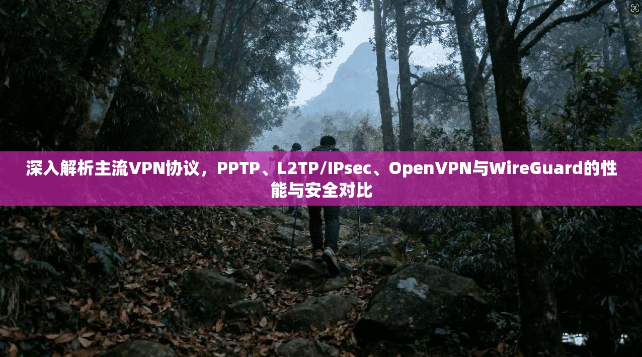 深入解析主流VPN协议，PPTP、L2TP/IPsec、OpenVPN与WireGuard的性能与安全对比