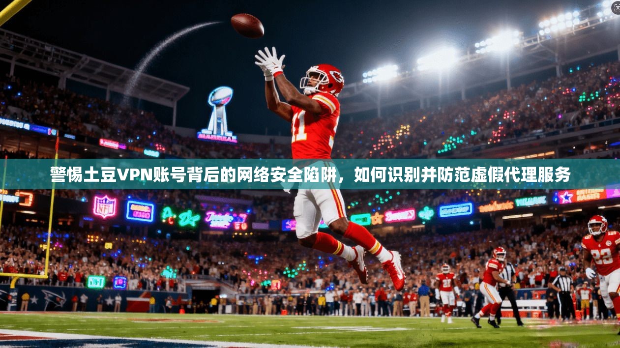 警惕土豆VPN账号背后的网络安全陷阱，如何识别并防范虚假代理服务