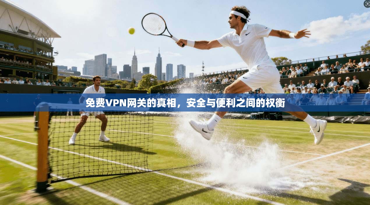免费VPN网关的真相，安全与便利之间的权衡