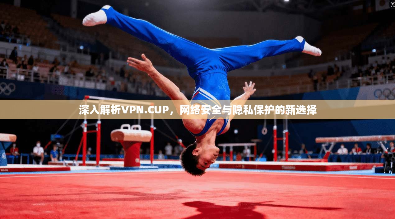深入解析VPN.CUP，网络安全与隐私保护的新选择
