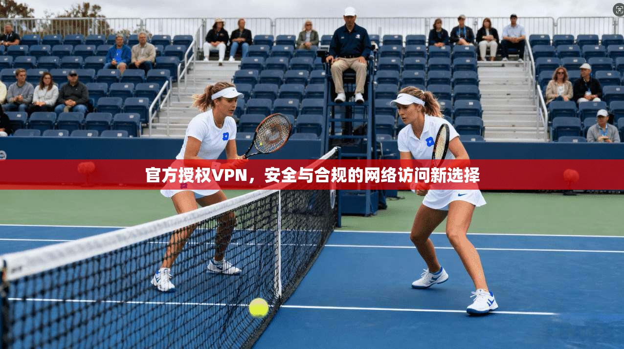 官方授权VPN，安全与合规的网络访问新选择