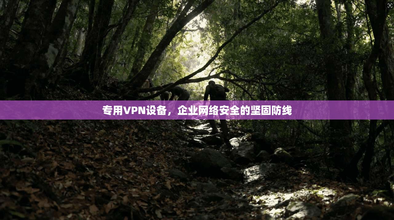 专用VPN设备，企业网络安全的坚固防线