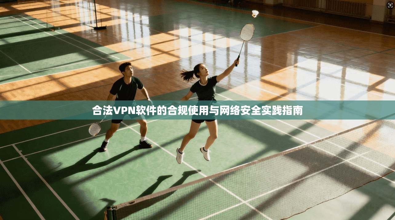 合法VPN软件的合规使用与网络安全实践指南