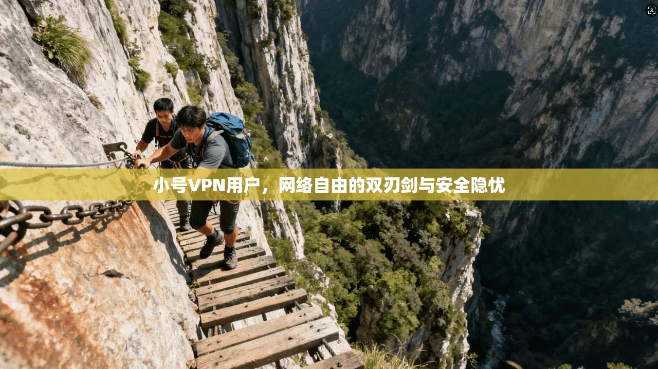 小号VPN用户，网络自由的双刃剑与安全隐忧