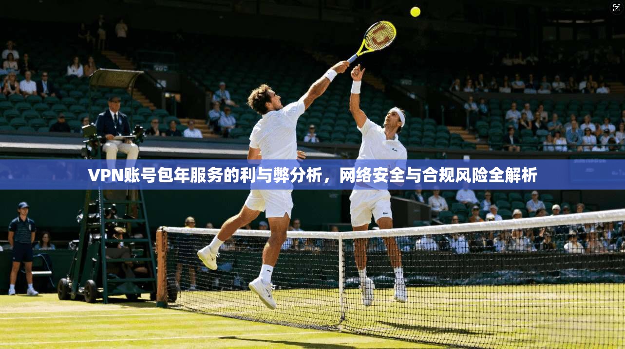 VPN账号包年服务的利与弊分析，网络安全与合规风险全解析