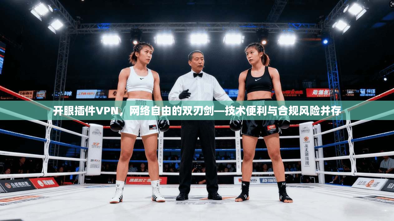 开眼插件VPN，网络自由的双刃剑—技术便利与合规风险并存