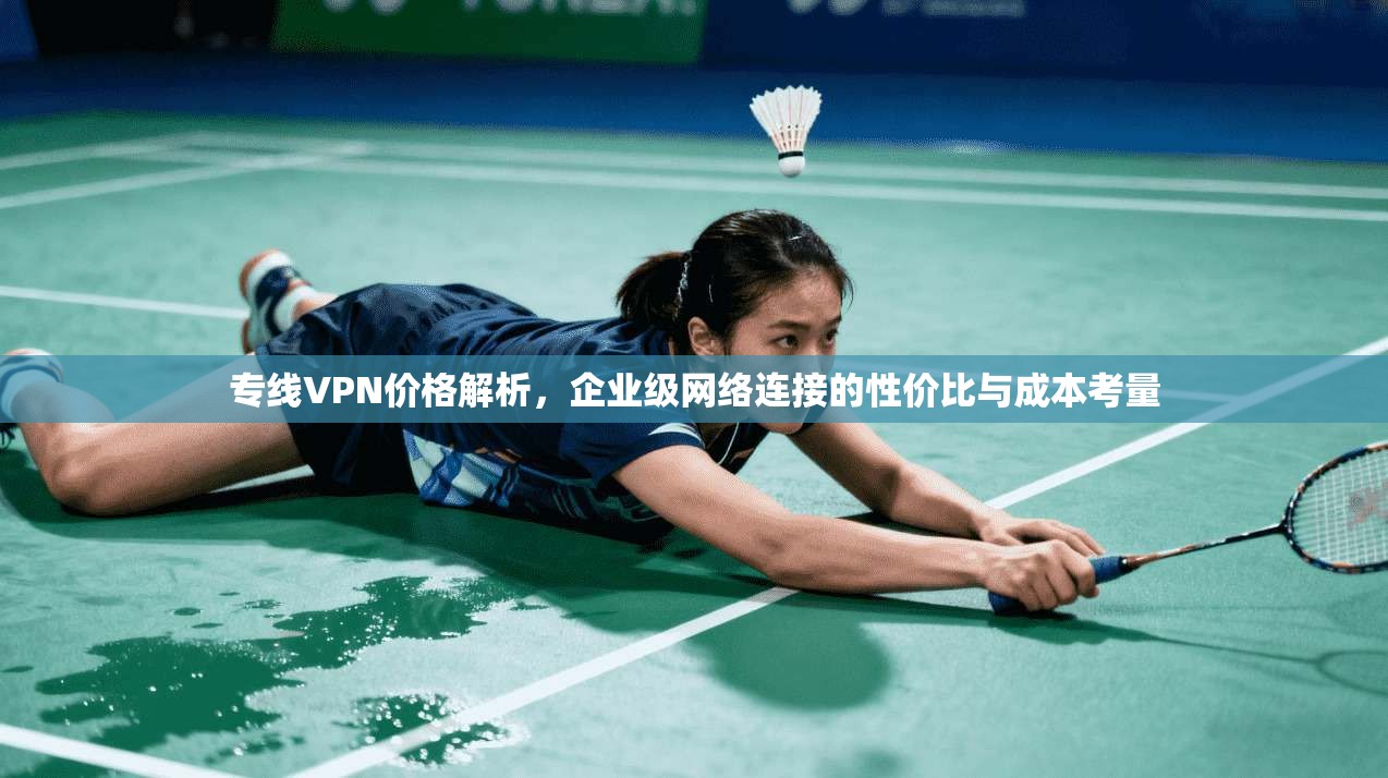 专线VPN价格解析，企业级网络连接的性价比与成本考量