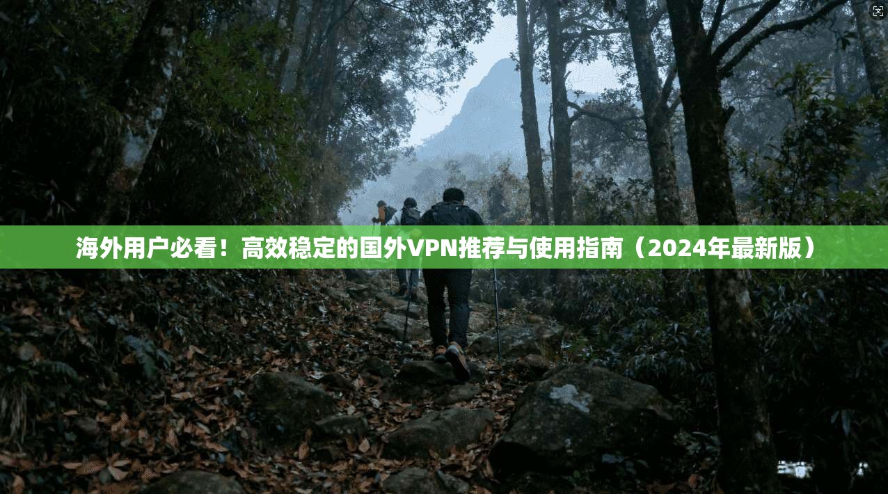 海外用户必看！高效稳定的国外VPN推荐与使用指南（2024年最新版）