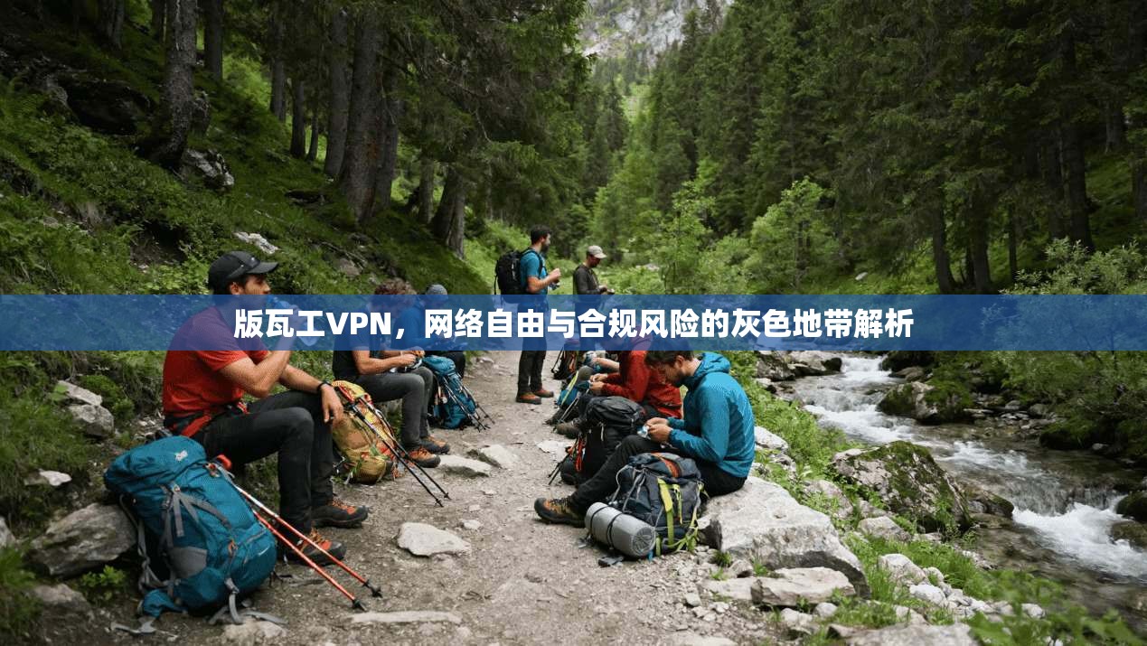版瓦工VPN，网络自由与合规风险的灰色地带解析