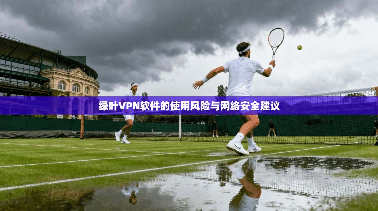 绿叶VPN软件的使用风险与网络安全建议