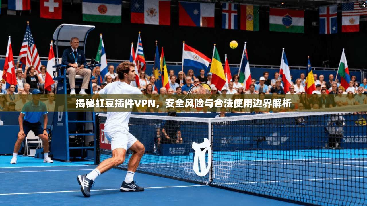 揭秘红豆插件VPN，安全风险与合法使用边界解析
