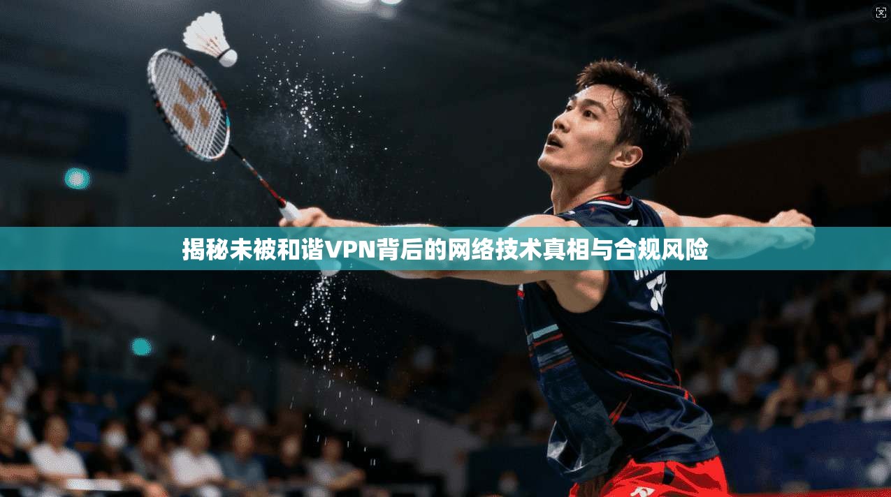 揭秘未被和谐VPN背后的网络技术真相与合规风险