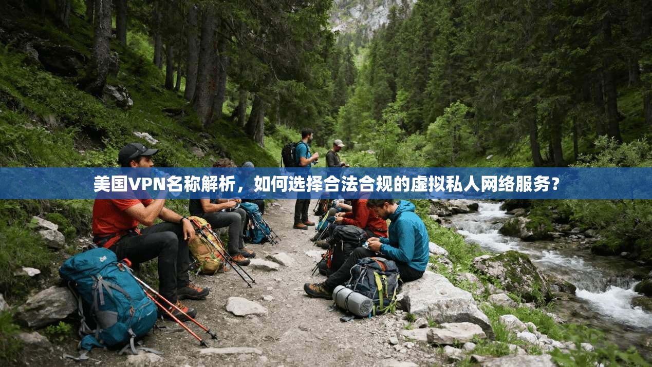 美国VPN名称解析，如何选择合法合规的虚拟私人网络服务？