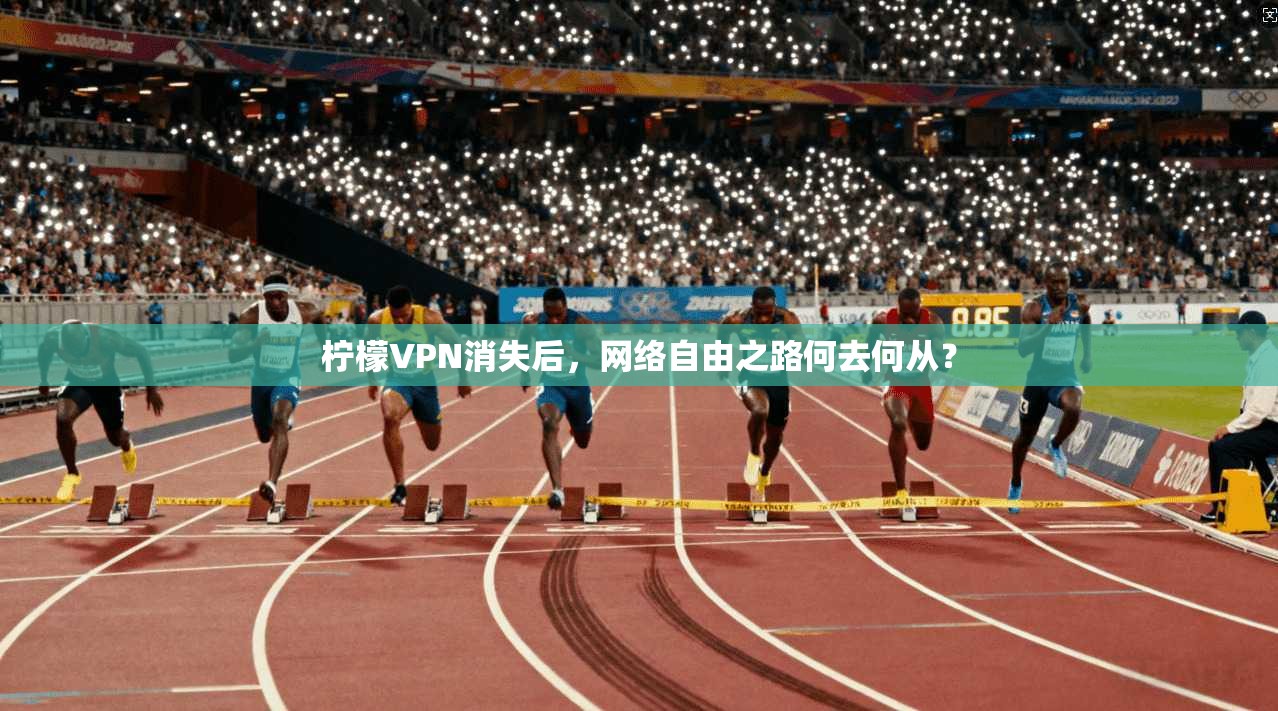 柠檬VPN消失后，网络自由之路何去何从？