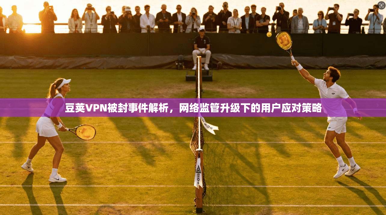 豆荚VPN被封事件解析，网络监管升级下的用户应对策略