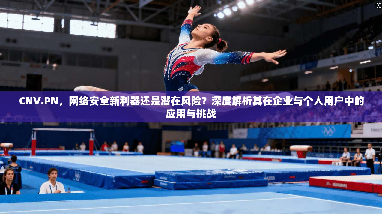 CNV.PN，网络安全新利器还是潜在风险？深度解析其在企业与个人用户中的应用与挑战