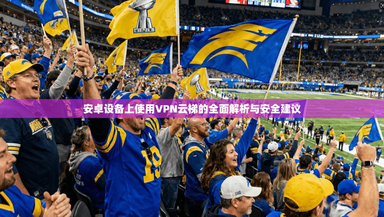 安卓设备上使用VPN云梯的全面解析与安全建议