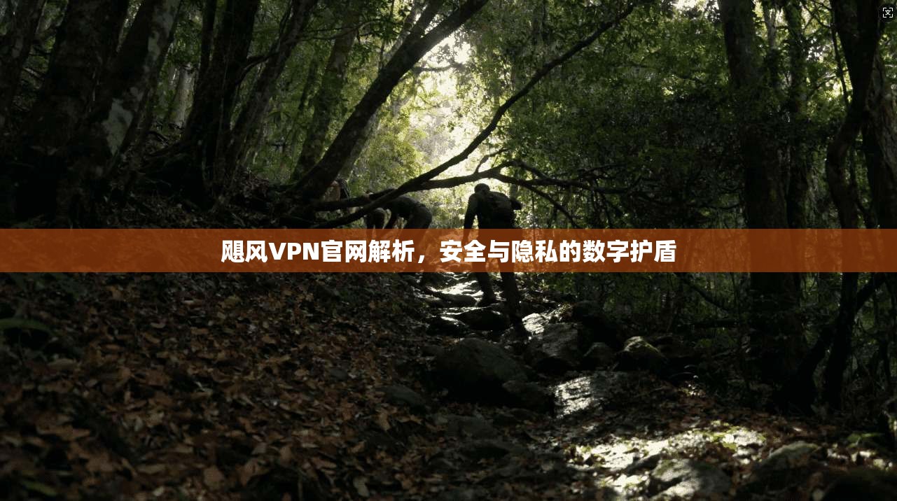 飓风VPN官网解析，安全与隐私的数字护盾