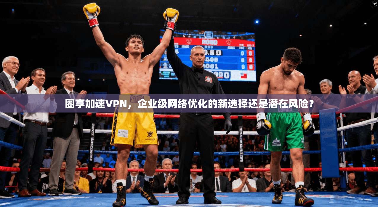 圈享加速VPN，企业级网络优化的新选择还是潜在风险？