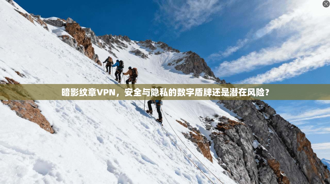 暗影纹章VPN，安全与隐私的数字盾牌还是潜在风险？