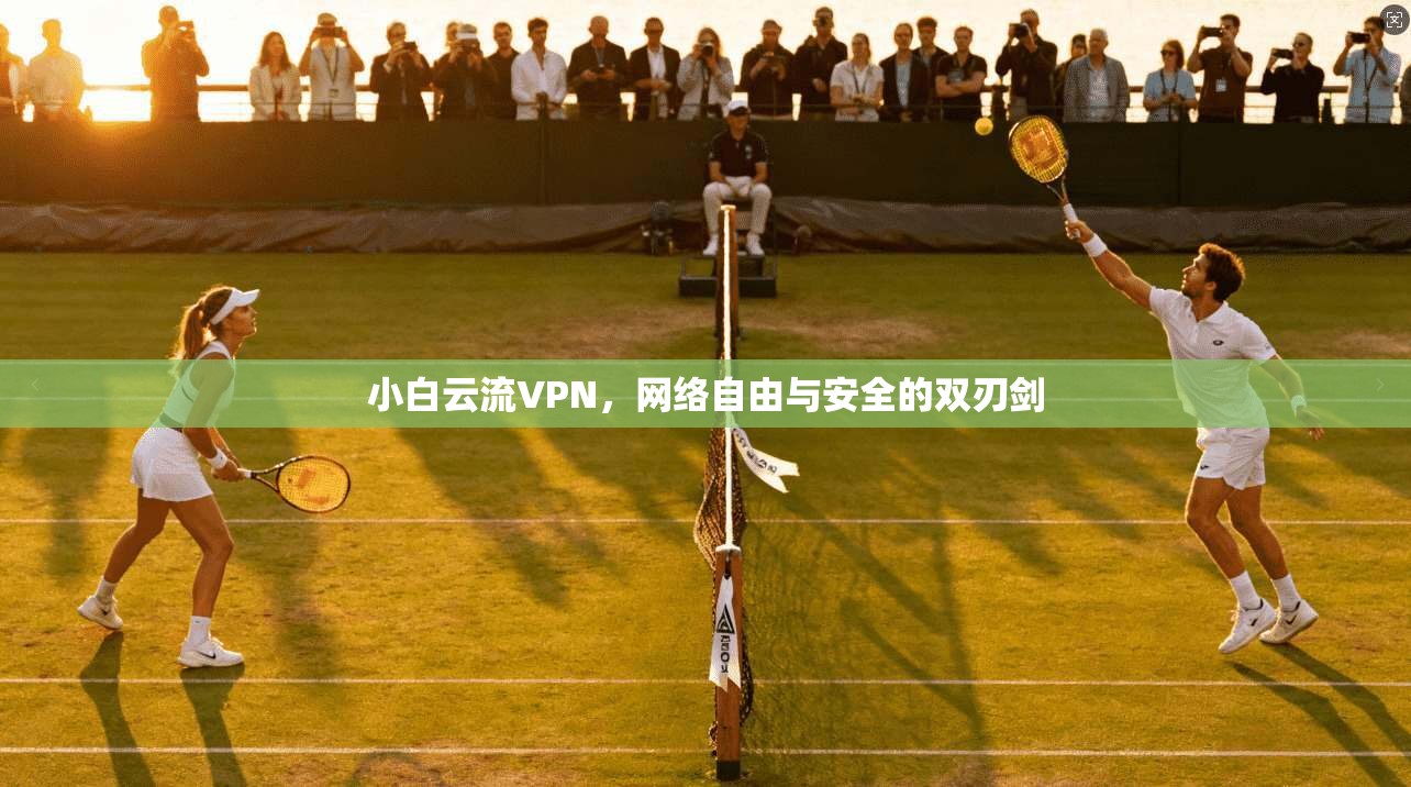小白云流VPN，网络自由与安全的双刃剑
