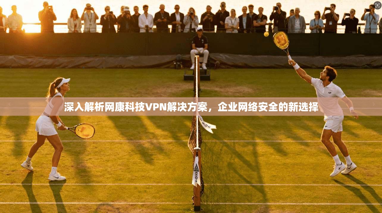 深入解析网康科技VPN解决方案，企业网络安全的新选择