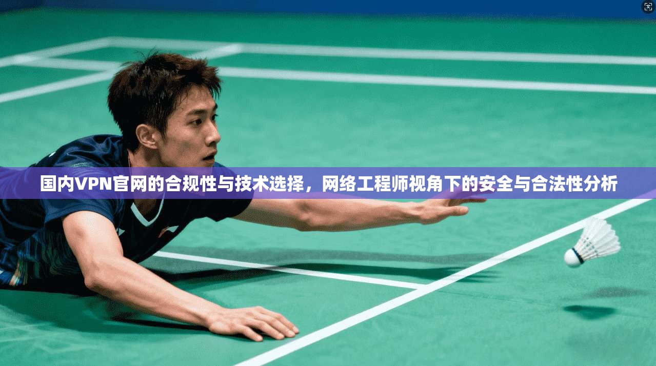 国内VPN官网的合规性与技术选择，网络工程师视角下的安全与合法性分析
