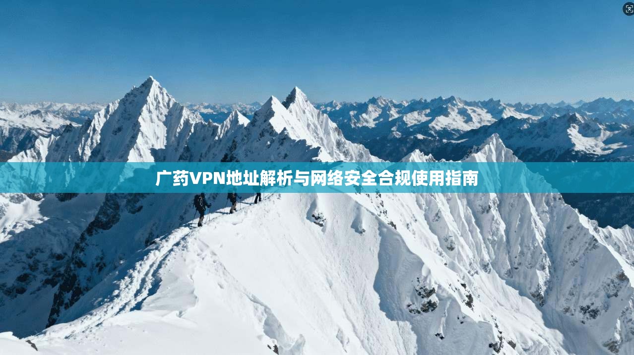 广药VPN地址解析与网络安全合规使用指南