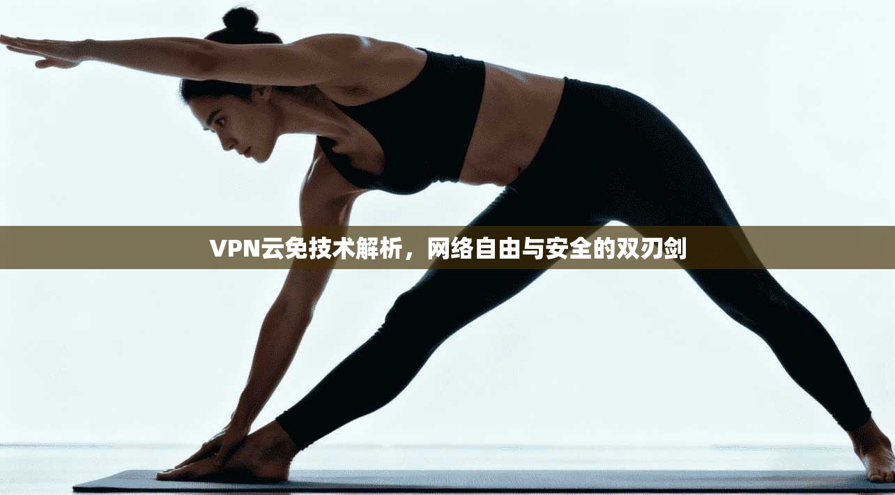 VPN云免技术解析，网络自由与安全的双刃剑