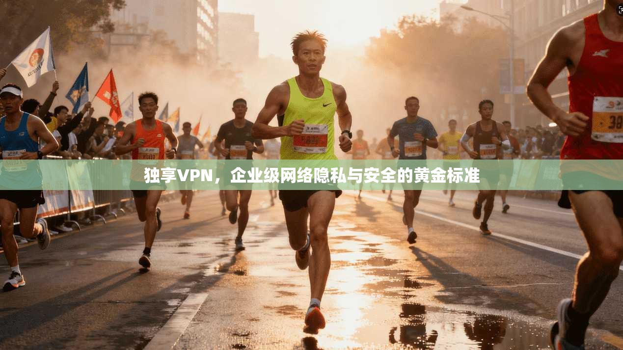 独享VPN，企业级网络隐私与安全的黄金标准