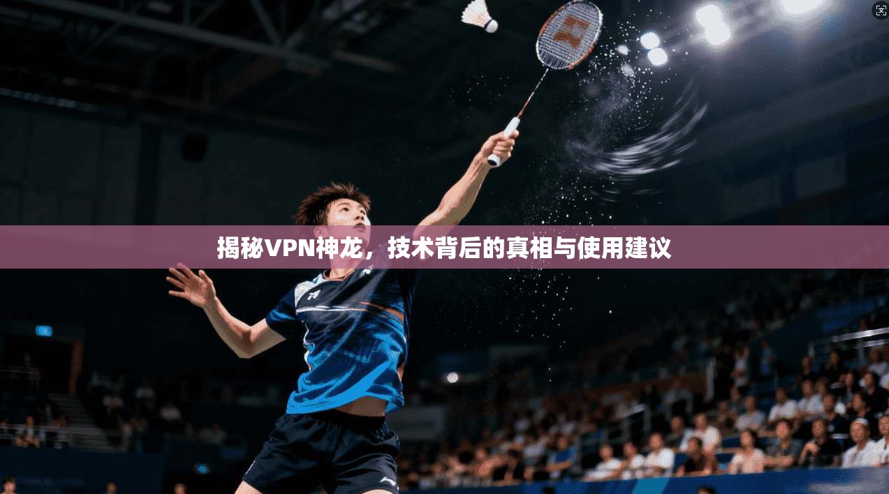 揭秘VPN神龙，技术背后的真相与使用建议