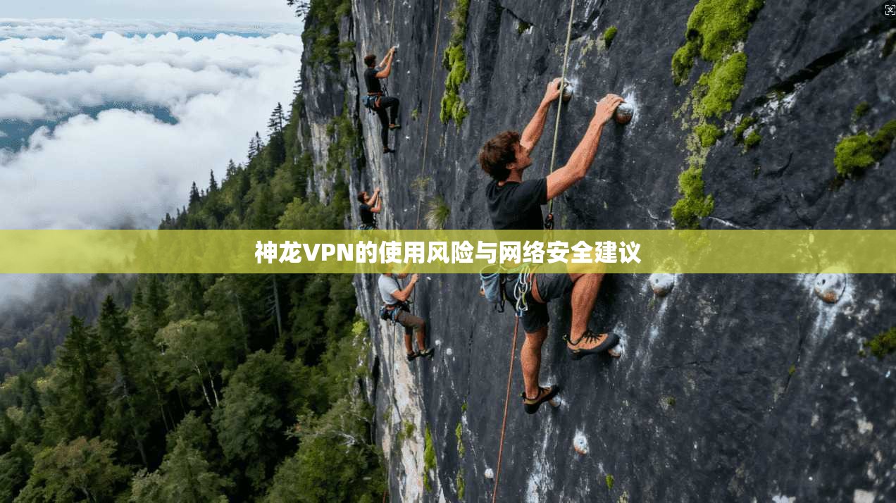 神龙VPN的使用风险与网络安全建议