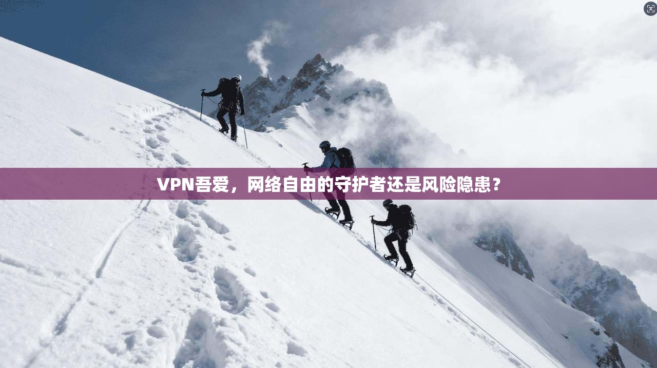VPN吾爱，网络自由的守护者还是风险隐患？