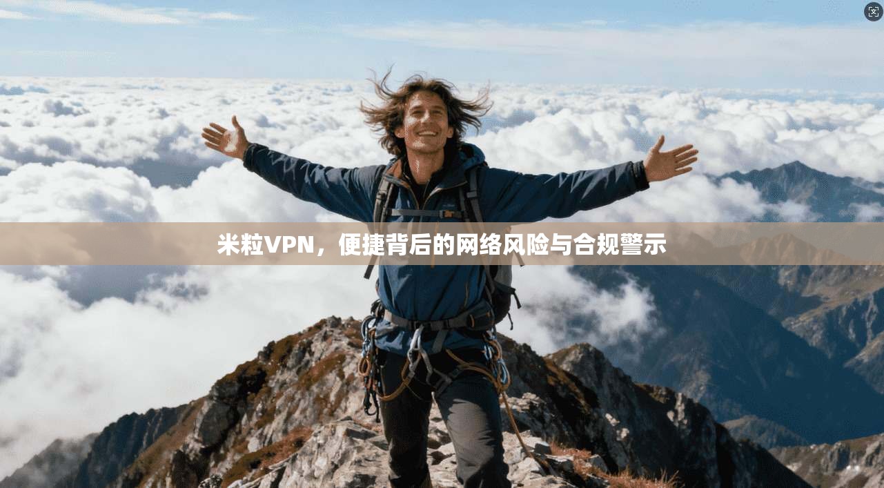 米粒VPN，便捷背后的网络风险与合规警示