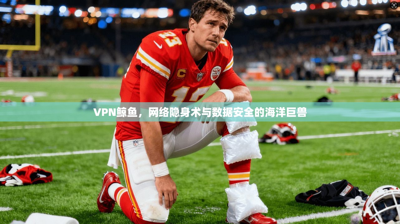 VPN鲸鱼，网络隐身术与数据安全的海洋巨兽