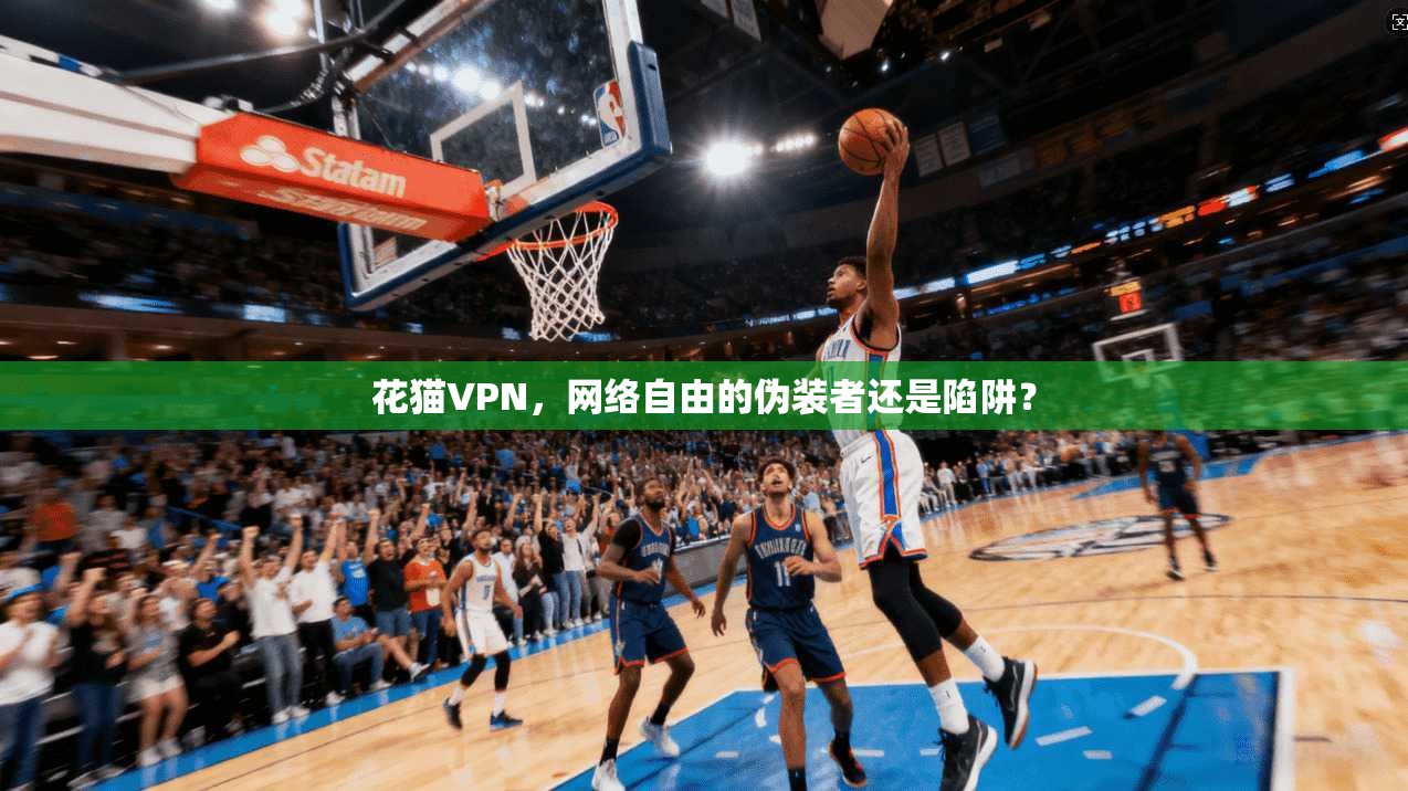 花猫VPN，网络自由的伪装者还是陷阱？