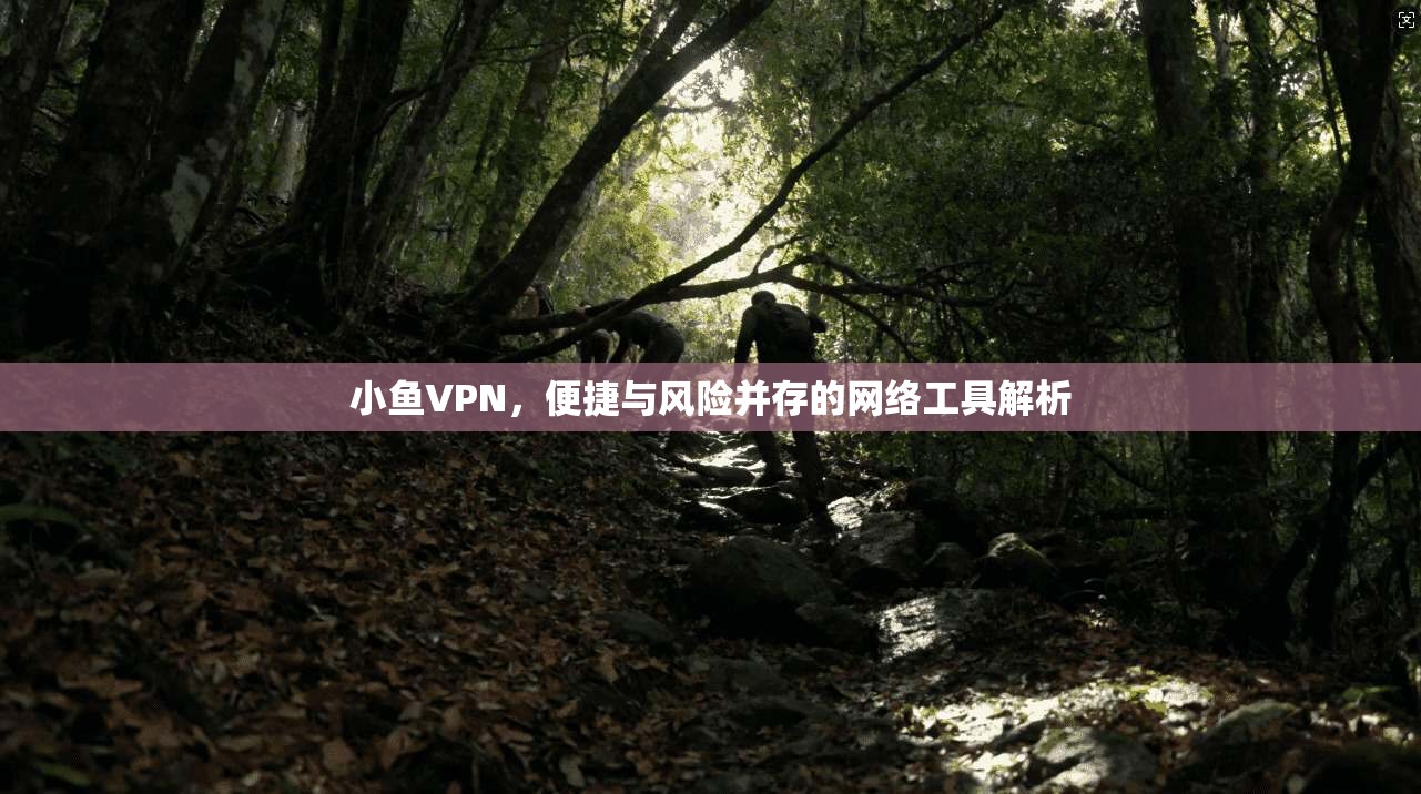 小鱼VPN，便捷与风险并存的网络工具解析
